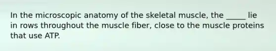 In the microscopic anatomy of the skeletal muscle, the _____ lie in rows throughout the muscle fiber, close to the muscle proteins that use ATP.