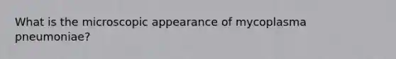 What is the microscopic appearance of mycoplasma pneumoniae?