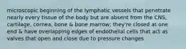 microscopic beginning of the lymphatic vessels that penetrate nearly every tissue of the body but are absent from the CNS, cartilage, cornea, bone & bone marrow; they're closed at one end & have overlapping edges of endothelial cells that act as valves that open and close due to pressure changes