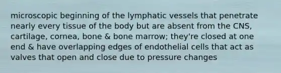 microscopic beginning of the lymphatic vessels that penetrate nearly every tissue of the body but are absent from the CNS, cartilage, cornea, bone & bone marrow; they're closed at one end & have overlapping edges of endothelial cells that act as valves that open and close due to pressure changes