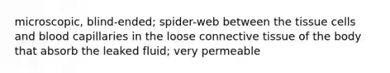 microscopic, blind-ended; spider-web between the tissue cells and blood capillaries in the loose connective tissue of the body that absorb the leaked fluid; very permeable