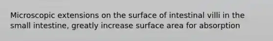 Microscopic extensions on the surface of intestinal villi in the small intestine, greatly increase surface area for absorption