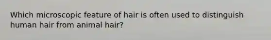 Which microscopic feature of hair is often used to distinguish human hair from animal hair?