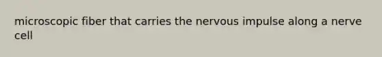 microscopic fiber that carries the nervous impulse along a nerve cell