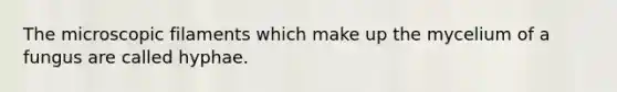 The microscopic filaments which make up the mycelium of a fungus are called hyphae.