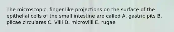 The microscopic, finger-like projections on the surface of the epithelial cells of the small intestine are called A. gastric pits B. plicae circulares C. Villi D. microvilli E. rugae