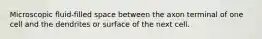 Microscopic fluid-filled space between the axon terminal of one cell and the dendrites or surface of the next cell.