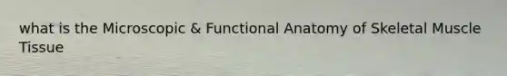 what is the Microscopic & Functional Anatomy of Skeletal Muscle Tissue