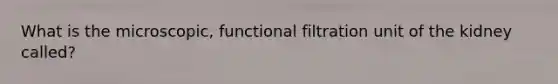 What is the microscopic, functional filtration unit of the kidney called?