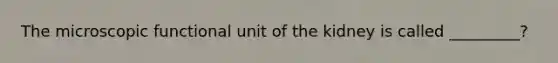 The microscopic functional unit of the kidney is called _________?