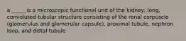 a _____ is a microscopic functional unit of the kidney; long, convoluted tubular structure consisting of the renal corpuscle (glomerulus and glomerular capsule), proximal tubule, nephron loop, and distal tubule