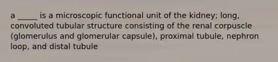 a _____ is a microscopic functional unit of the kidney; long, convoluted tubular structure consisting of the renal corpuscle (glomerulus and glomerular capsule), proximal tubule, nephron loop, and distal tubule