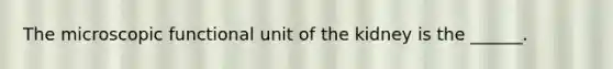 The microscopic functional unit of the kidney is the ______.