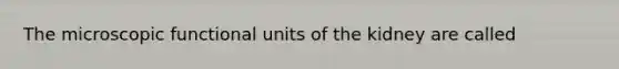 The microscopic functional units of the kidney are called