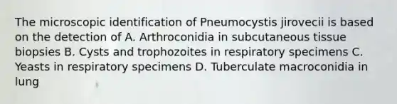 The microscopic identification of Pneumocystis jirovecii is based on the detection of A. Arthroconidia in subcutaneous tissue biopsies B. Cysts and trophozoites in respiratory specimens C. Yeasts in respiratory specimens D. Tuberculate macroconidia in lung