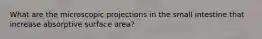 What are the microscopic projections in the small intestine that increase absorptive surface area?