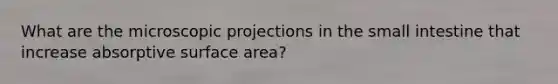 What are the microscopic projections in the small intestine that increase absorptive surface area?