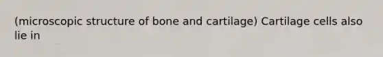 (microscopic structure of bone and cartilage) Cartilage cells also lie in