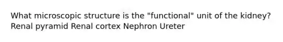 What microscopic structure is the "functional" unit of the kidney? Renal pyramid Renal cortex Nephron Ureter