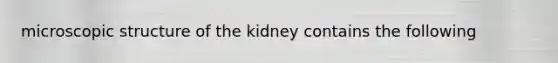 microscopic structure of the kidney contains the following