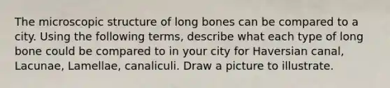 The microscopic structure of long bones can be compared to a city. Using the following terms, describe what each type of long bone could be compared to in your city for Haversian canal, Lacunae, Lamellae, canaliculi. Draw a picture to illustrate.