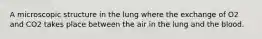 A microscopic structure in the lung where the exchange of O2 and CO2 takes place between the air in the lung and the blood.