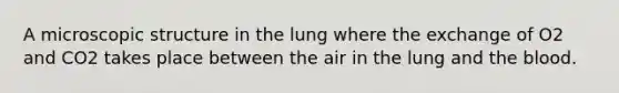 A microscopic structure in the lung where the exchange of O2 and CO2 takes place between the air in the lung and the blood.