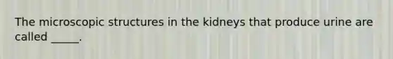 The microscopic structures in the kidneys that produce urine are called _____.