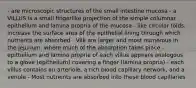 - are microscopic structures of the small intestine mucosa - a VILLUS is a small fingerlike projection of the simple columnar epithelium and lamina propria of the mucosa - like circular folds, increase the surface area of the epithelial lining through which nutrients are absorbed - Villi are larger and most numerous in the jejunum, where much of the absorption takes place - epithelium and lamina propria of each villus appears analogous to a glove (epithelium) covering a finger (lamina propria) - each villus contains an arteriole, a rich blood capillary network, and a venule - Most nutrients are absorbed into these blood capillaries