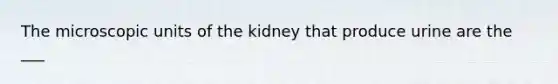 The microscopic units of the kidney that produce urine are the ___