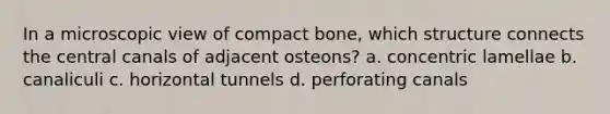 In a microscopic view of compact bone, which structure connects the central canals of adjacent osteons? a. concentric lamellae b. canaliculi c. horizontal tunnels d. perforating canals