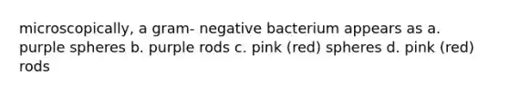 microscopically, a gram- negative bacterium appears as a. purple spheres b. purple rods c. pink (red) spheres d. pink (red) rods