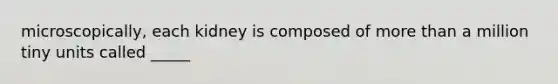 microscopically, each kidney is composed of more than a million tiny units called _____