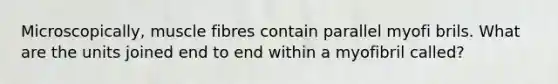 Microscopically, muscle fibres contain parallel myofi brils. What are the units joined end to end within a myofibril called?