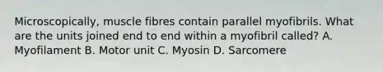 Microscopically, muscle fibres contain parallel myofibrils. What are the units joined end to end within a myofibril called? A. Myofilament B. Motor unit C. Myosin D. Sarcomere