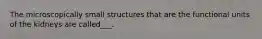 The microscopically small structures that are the functional units of the kidneys are called___.