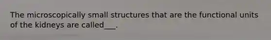 The microscopically small structures that are the functional units of the kidneys are called___.