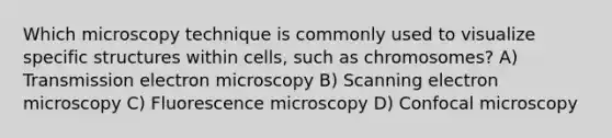 Which microscopy technique is commonly used to visualize specific structures within cells, such as chromosomes? A) Transmission electron microscopy B) Scanning electron microscopy C) Fluorescence microscopy D) Confocal microscopy