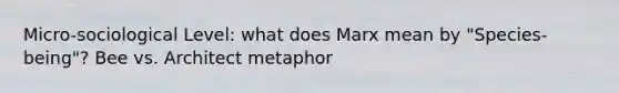 Micro-sociological Level: what does Marx mean by "Species-being"? Bee vs. Architect metaphor