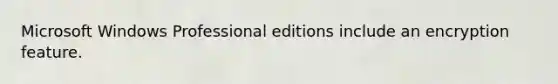 Microsoft Windows Professional editions include an encryption feature.