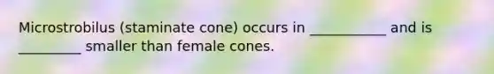 Microstrobilus (staminate cone) occurs in ___________ and is _________ smaller than female cones.