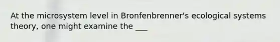 At the microsystem level in Bronfenbrenner's ecological systems theory, one might examine the ___