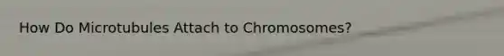 How Do Microtubules Attach to Chromosomes?