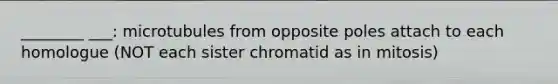 ________ ___: microtubules from opposite poles attach to each homologue (NOT each sister chromatid as in mitosis)