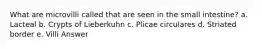 What are microvilli called that are seen in the small intestine? a. Lacteal b. Crypts of Lieberkuhn c. Plicae circulares d. Striated border e. Villi Answer