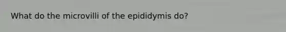 What do the microvilli of the epididymis do?