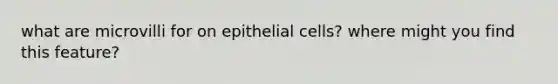 what are microvilli for on epithelial cells? where might you find this feature?