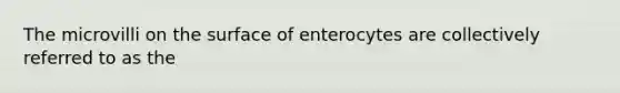 The microvilli on the surface of enterocytes are collectively referred to as the