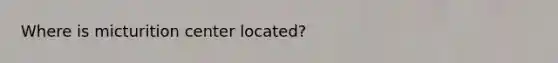 Where is micturition center located?