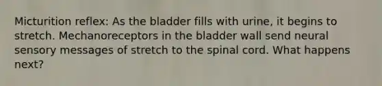 Micturition reflex: As the bladder fills with urine, it begins to stretch. Mechanoreceptors in the bladder wall send neural sensory messages of stretch to the spinal cord. What happens next?